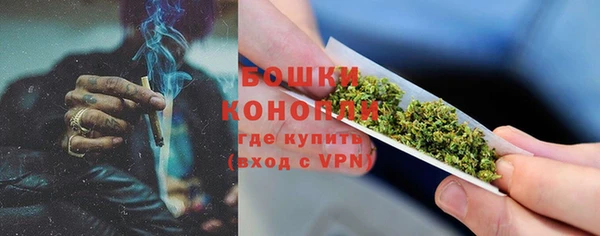дмт Инсар