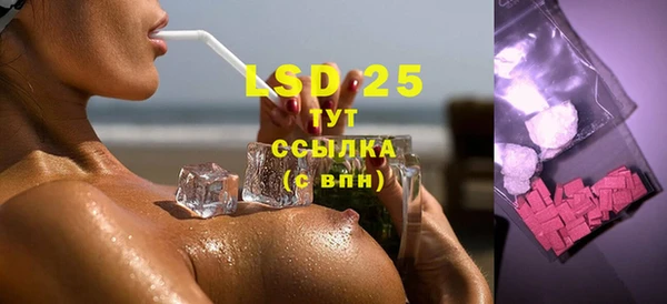 дмт Инсар