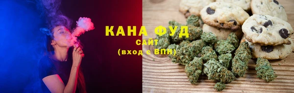 дмт Инсар