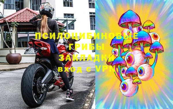 дмт Инсар
