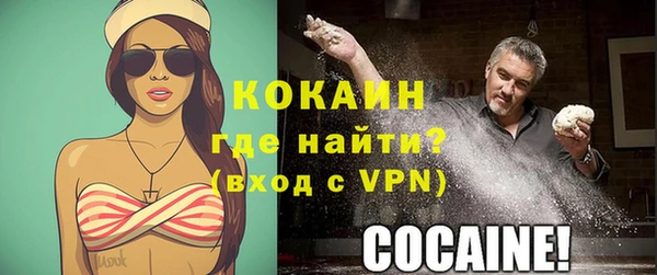 дмт Инсар
