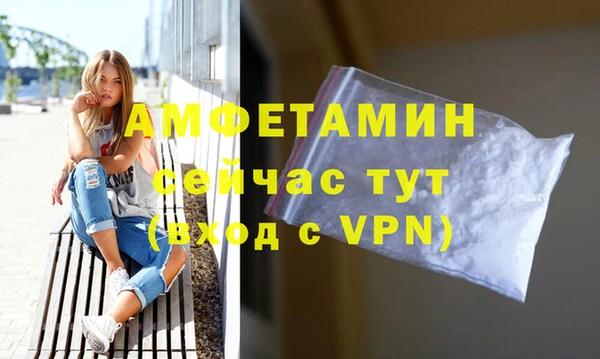 дмт Инсар