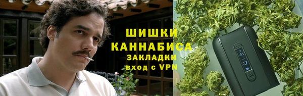 дмт Инсар